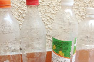 DIY: Plastikflaschen, die Pflanzer hängen  