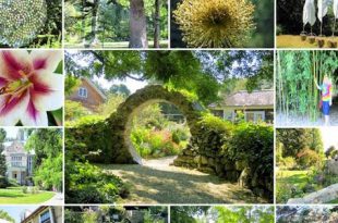 New England Gardens: Blithewold Mansion, Gärten und Arboretum Rhode Island  