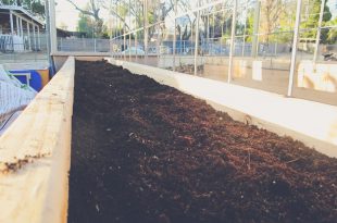 Die BESTE Bodenkombination für erhöhte Gartenboxen  