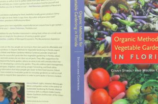 Organische Methoden für die Gemüsegartenarbeit in Florida ist im Lager!  