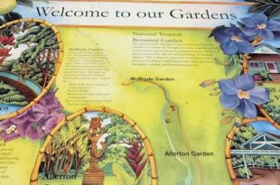 Botanische Gärten von Allerton & McBryde Kauai: Entdeckungsreise-Paradies gefunden  