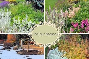 Die vier Jahreszeiten des Garten-Garten-Designs  