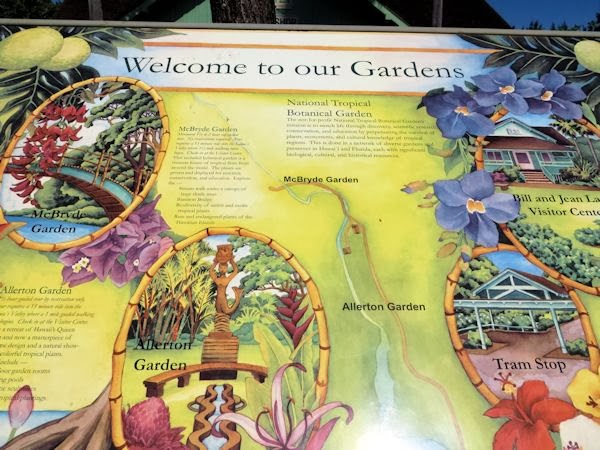 Botanische Garten Von Allerton Mcbryde Kauai Entdeckungsreise