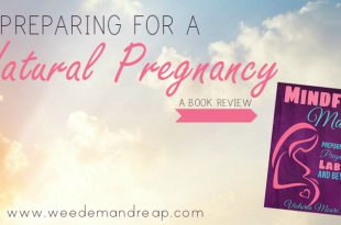 Vorbereitung auf eine natürliche Schwangerschaft  