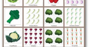 Kostenlose Gemüsegarten Pläne, Layout, Designs und Planung Arbeitsblätter  